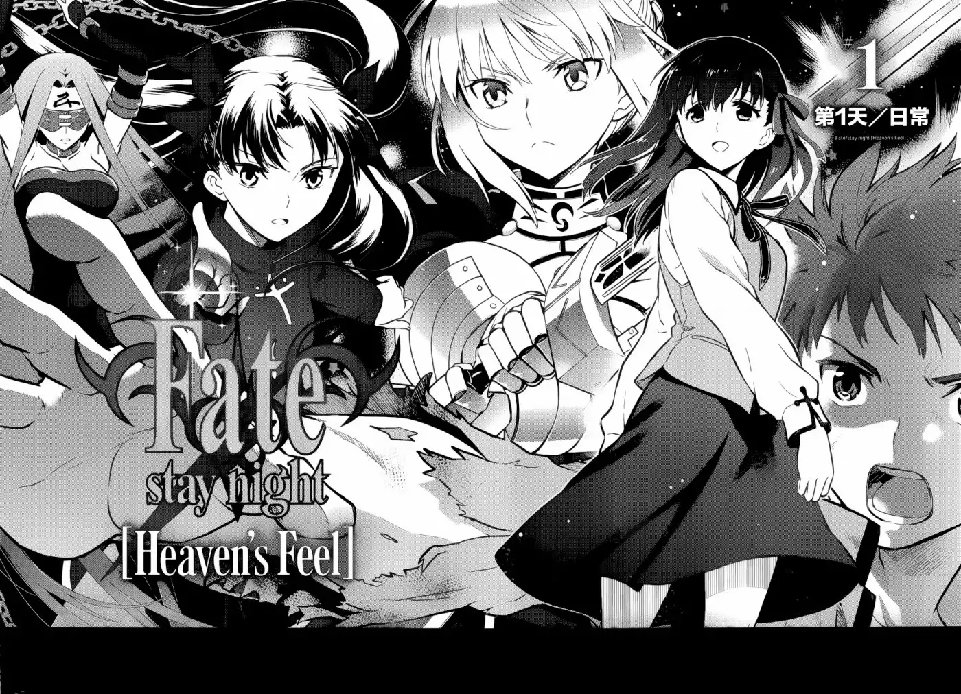 Fate/Stay Night - Heaven's Feel Chapter 1 10